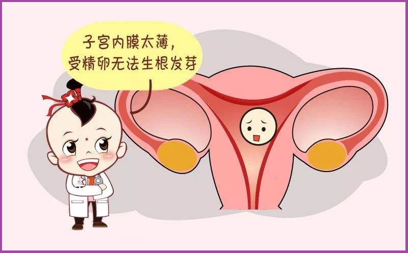  子宫内膜薄怎么办？